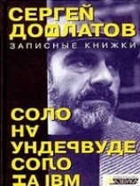 читать Соло на ИВМ