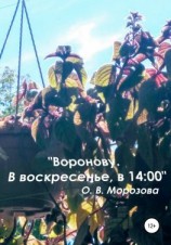 читать «Воронову. В воскресенье, в 14:00»