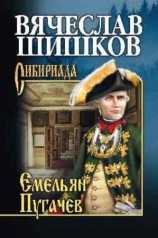 читать Емельян Пугачев. Книга 1