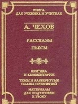 читать Экзамен на чин