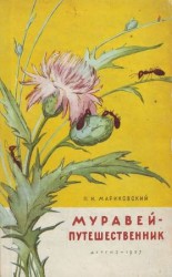 читать Муравей путешественник