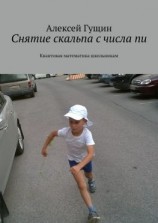 читать Снятие скальпа с числа пи. Квантовая математика школьникам