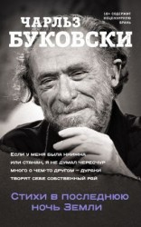 читать Стихи в последнюю ночь Земли