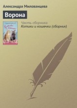 читать Ворона
