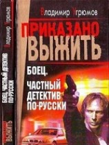 читать Боец. Частный детектив по-русски