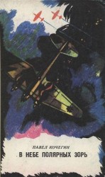 читать В небе полярных зорь