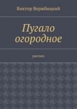 читать Пугало огородное. Рассказ
