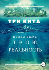 читать Три кита, создающие твою реальность