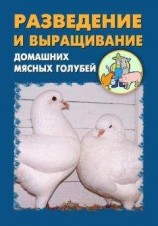 читать Разведение и выращивание домашних мясных голубей