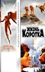 читать Безумие