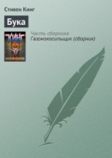 читать И пришел бука