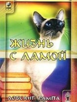 читать Жизнь с ламой