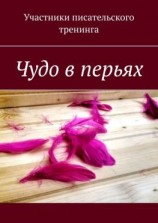 читать Чудо в перьях. Сборник серьезных и сказочных историй