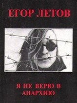 читать Я не верю в анархию (Сборник статей)
