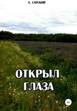 читать Открыл глаза