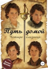 читать Путь домой. Четыре близнеца