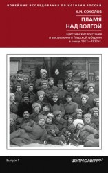 читать Пламя над Волгой. Крестьянские восстания и выступления в Тверской губернии в конец 1917 1922 гг
