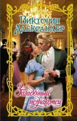 читать Загадочный незнакомец