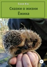 читать Сказки о жизни Ёжика