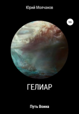 читать Гелиар. Путь воина