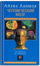 читать Человеческий мозг. От аксона до нейрона