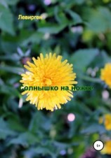 читать Солнышко на ножке