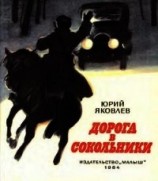 читать Дорога в Сокольники