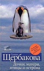 читать Дочки, матери, птицы и острова