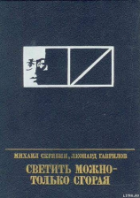 читать Светить можно - только сгорая. Повесть о Моисее Урицком