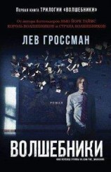 читать Волшебники. Книга 1