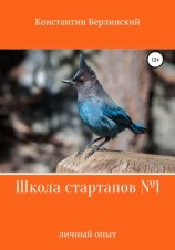 читать Школа стартапов 1: Личный опыт