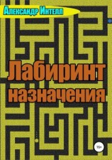 читать Лабиринт назначения