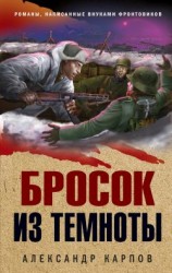 читать Бросок из темноты