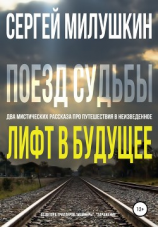 читать Лифт в будущее. Поезд судьбы