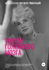 читать TikTok головного мозга. Секреты и фишки для продвижения и заработка в самой популярной социальной сети
