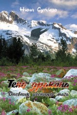 читать Тень дракона. Дневник ученицы мага