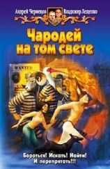 читать Чародей на том свете