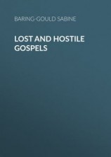 читать Lost and Hostile Gospels