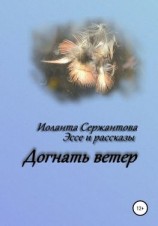 читать Догнать ветер