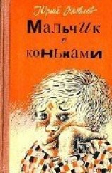 читать Мальчик с коньками