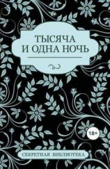 читать Тысяча и одна ночь (сборник)