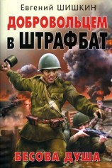 читать Добровольцем в штрафбат. Бесова душа