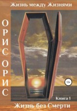 читать Жизнь без Смерти