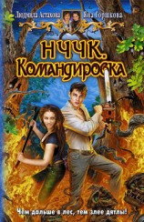 читать НЧЧК. Командировка