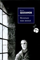 читать Несколько моих жизней: Воспоминания. Записные книжки. Переписка. Следственные дела