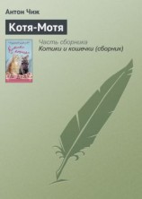 читать Котя-Мотя