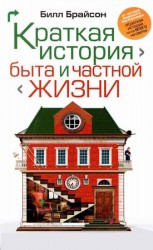 читать Краткая история быта и частной жизни