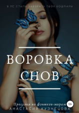читать Воровка снов