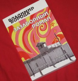 читать Зазаборный роман