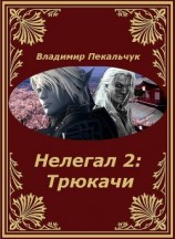 читать Нелегал-2: Трюкачи